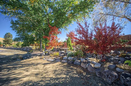 Washoe Zephyr Fall Garden Color